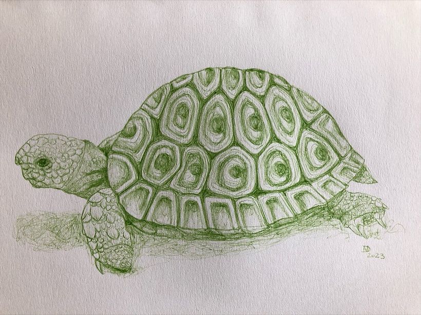 Mein Abschlussprojekt für den Kurs: Kugelschreiber-Illustration im Skizzenbuch: Aus Fehlern lernen 10