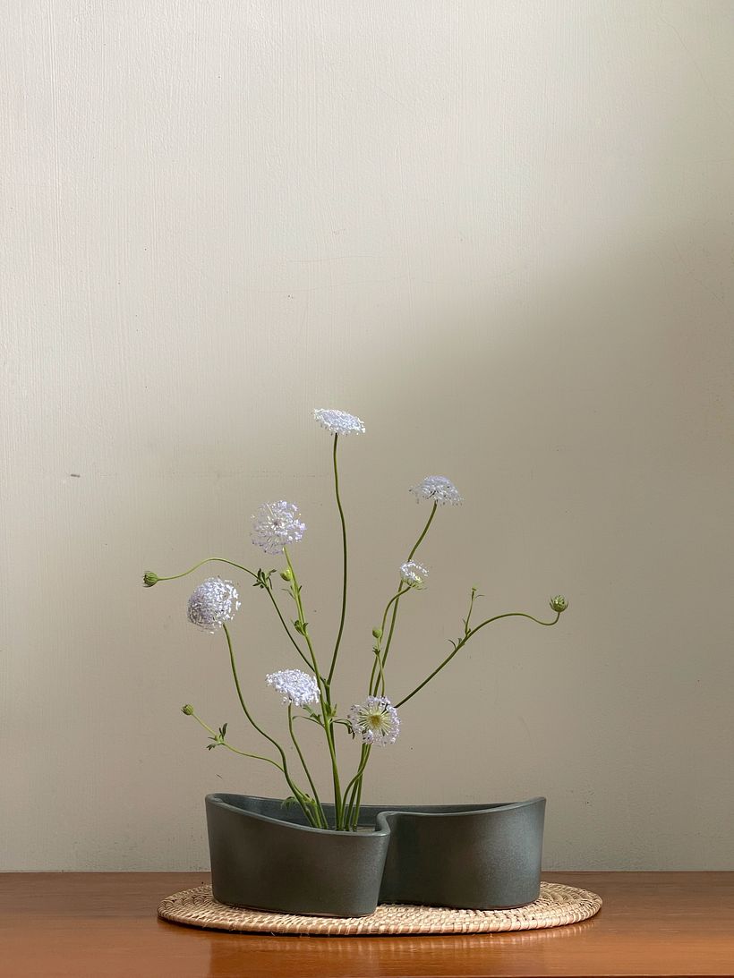 My project for course: Ikebana: flower arrangement for beginners 1