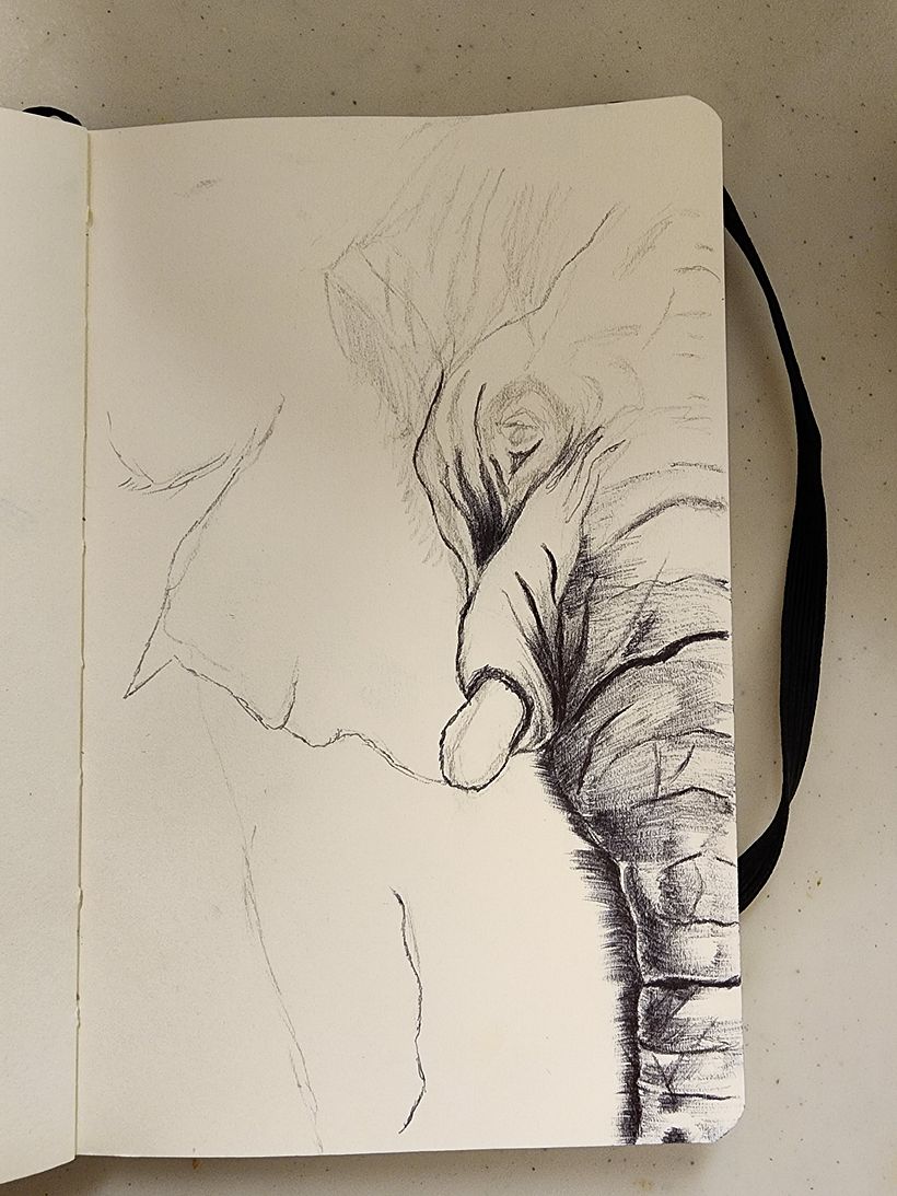 Mi proyecto del curso: Sketching diario como inspiración creativa 3