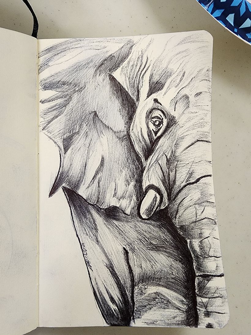 Mi proyecto del curso: Sketching diario como inspiración creativa 4