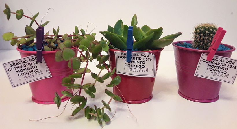 Souvenirs con cactus y suculentas 4