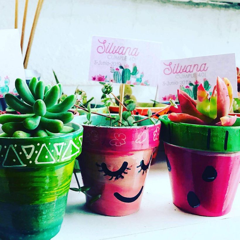 Souvenirs con cactus y suculentas 5