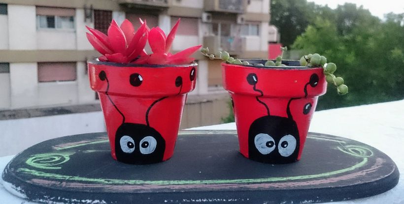 Souvenirs con cactus y suculentas 1