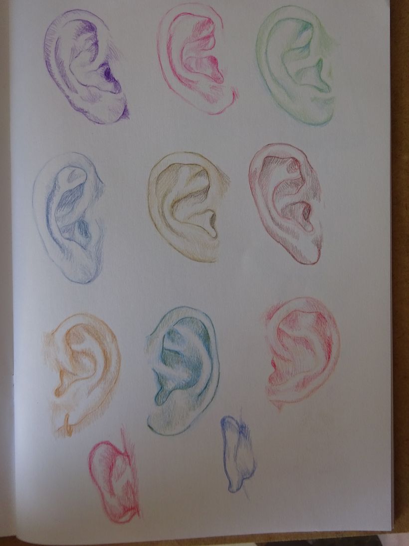 Mi proyecto del curso: Dibujo de retratos llamativos con lápices de colores 6