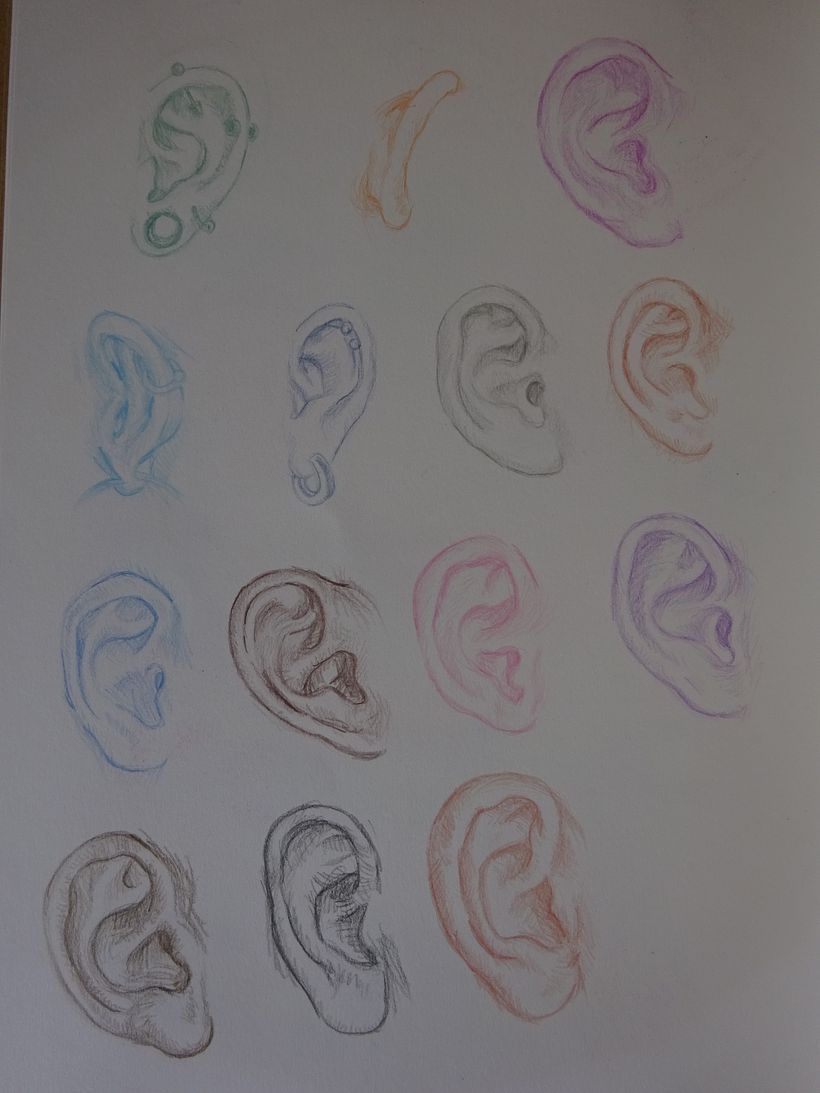Mi proyecto del curso: Dibujo de retratos llamativos con lápices de colores 7