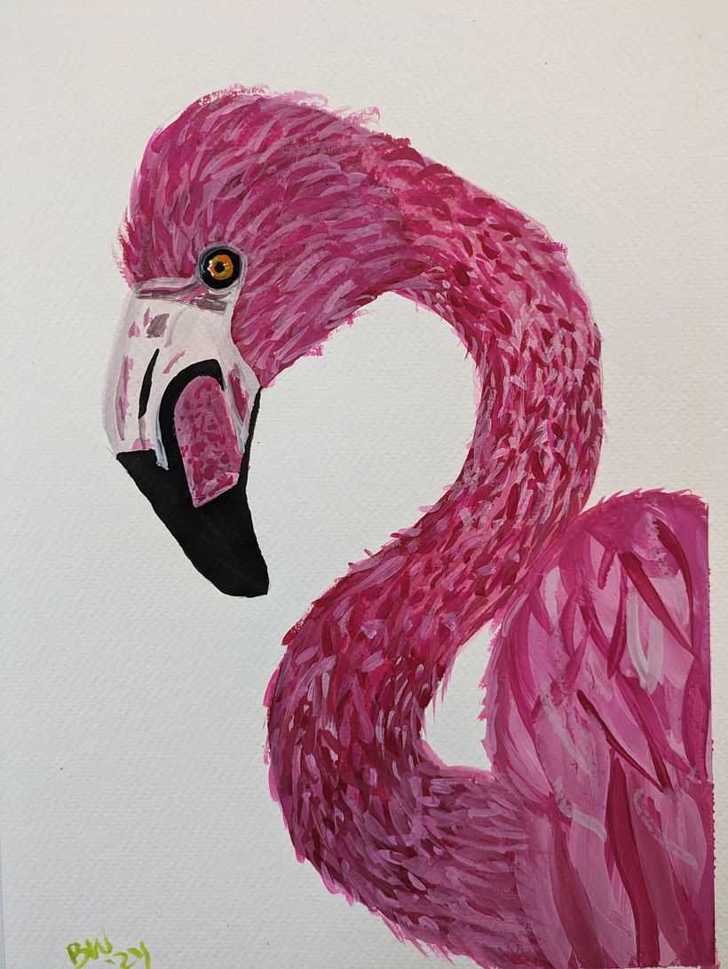 Flamingo 1