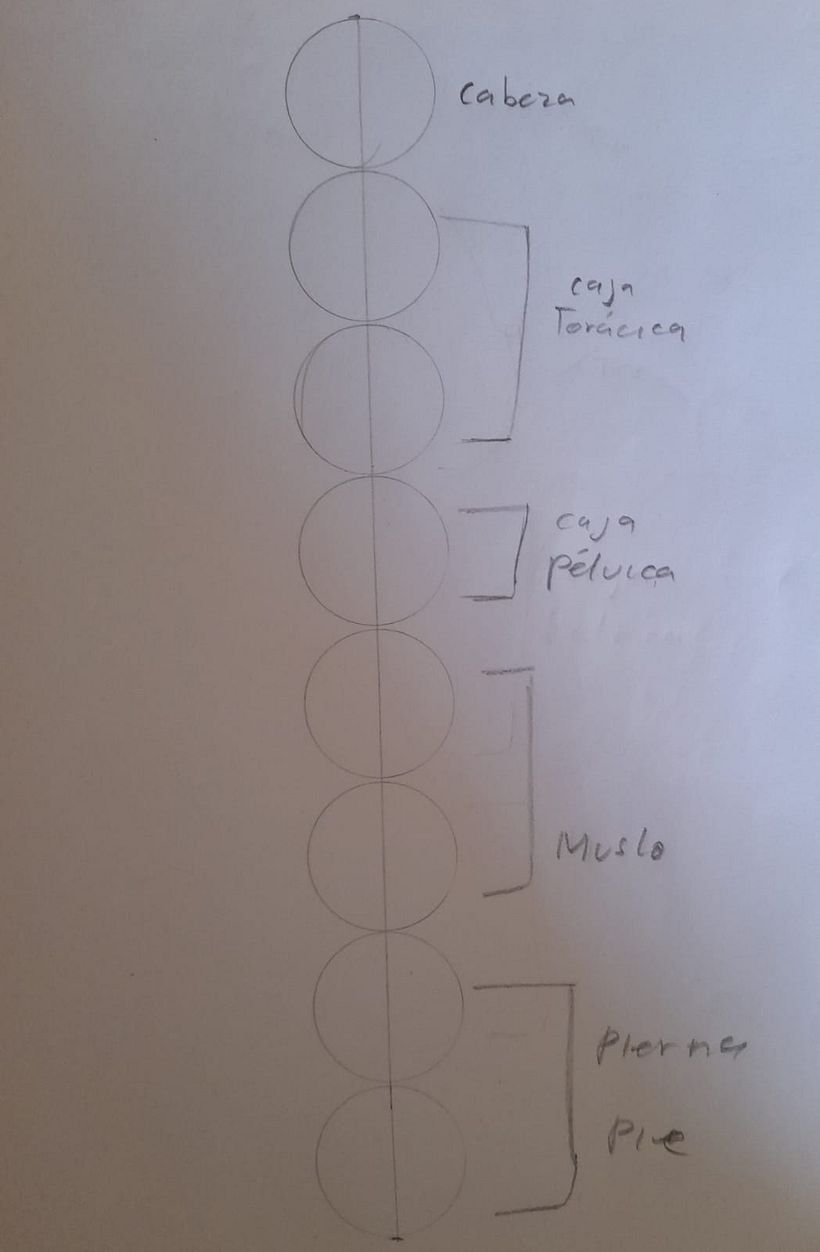 Mi proyecto del curso: Dibujo anatómico para principiantes 2