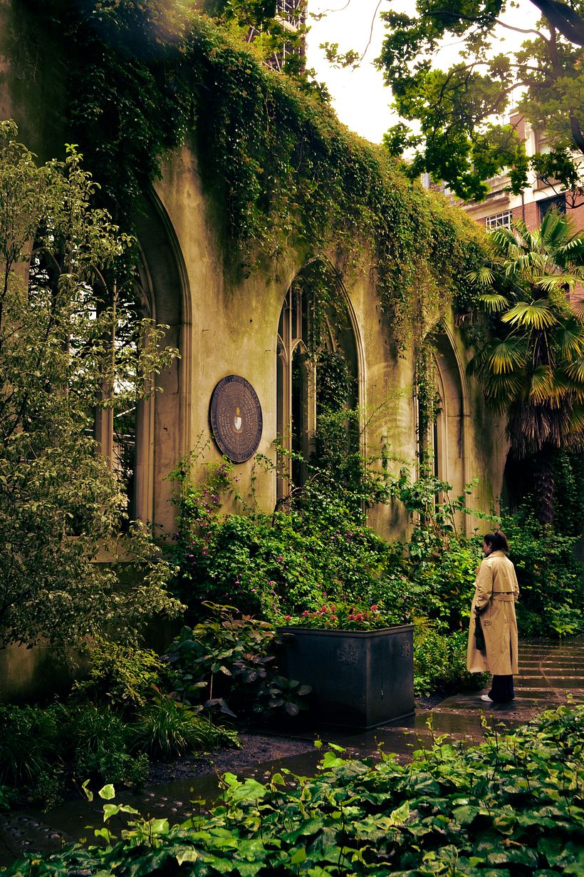 New life grows from the remain of St Dunstan Church