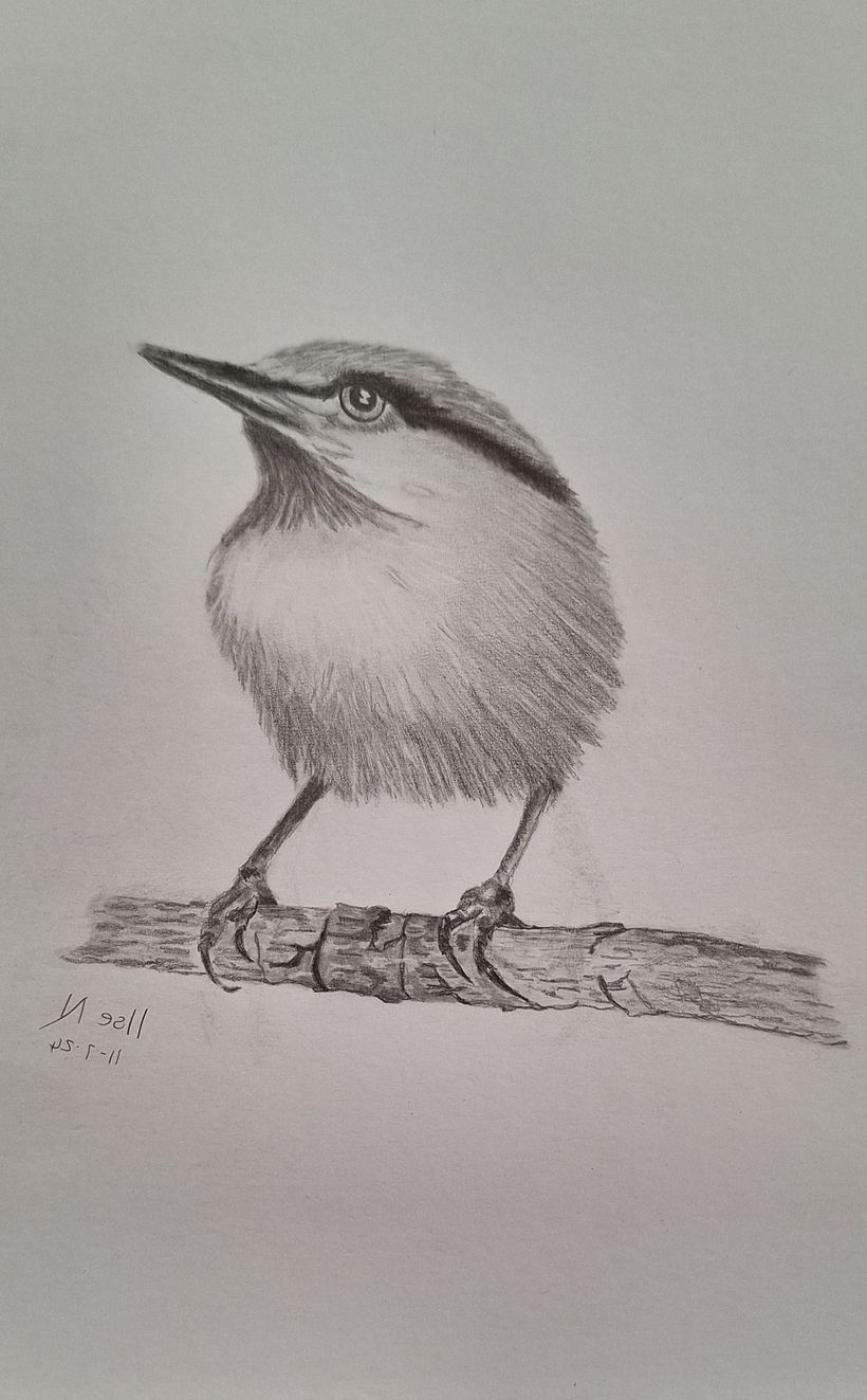 My project for course: Artistic Watercolor Techniques for Illustrating Birds 1