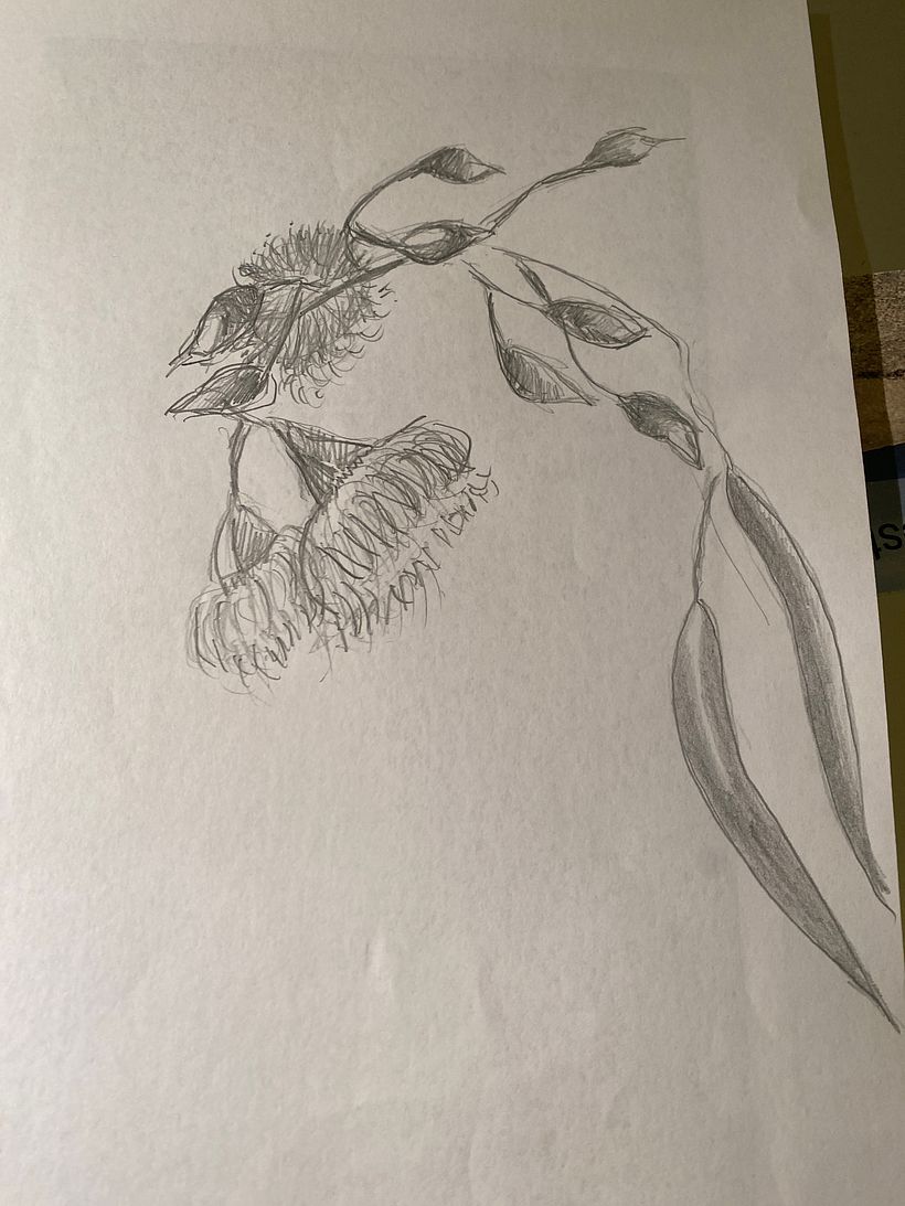 My project for course: Botanical Sketchbooking: A Meditative Approach 2