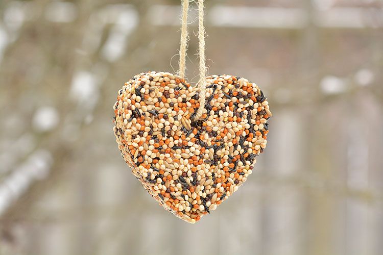 These birdseed ornaments are really easy to make! 