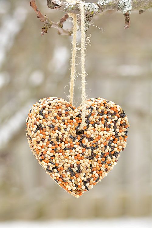 DIY Birdseed Ornaments 5