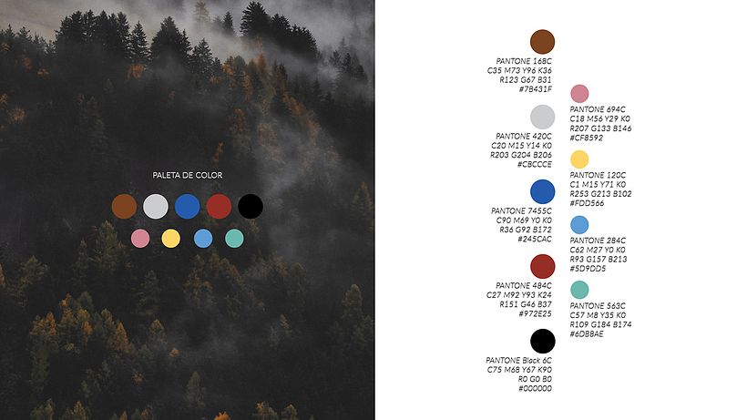 Branding 360: Kawiarnia Neblina 9