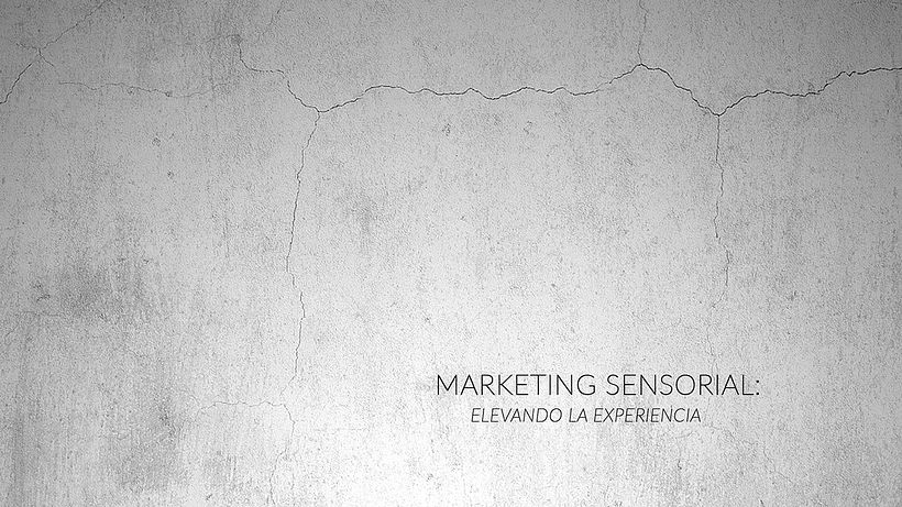 Branding 360: Kawiarnia Neblina 29