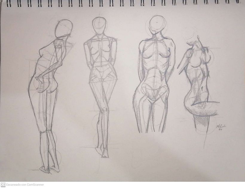 Mi proyecto del curso: Dibujo anatómico para principiantes 2