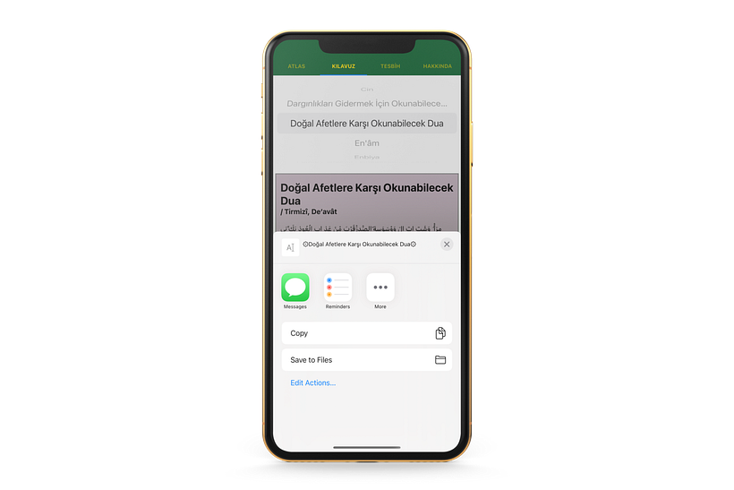 Share Screen
