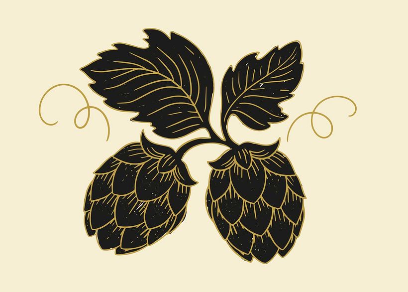 All the illustrative elements were hand drawn and vectorized.