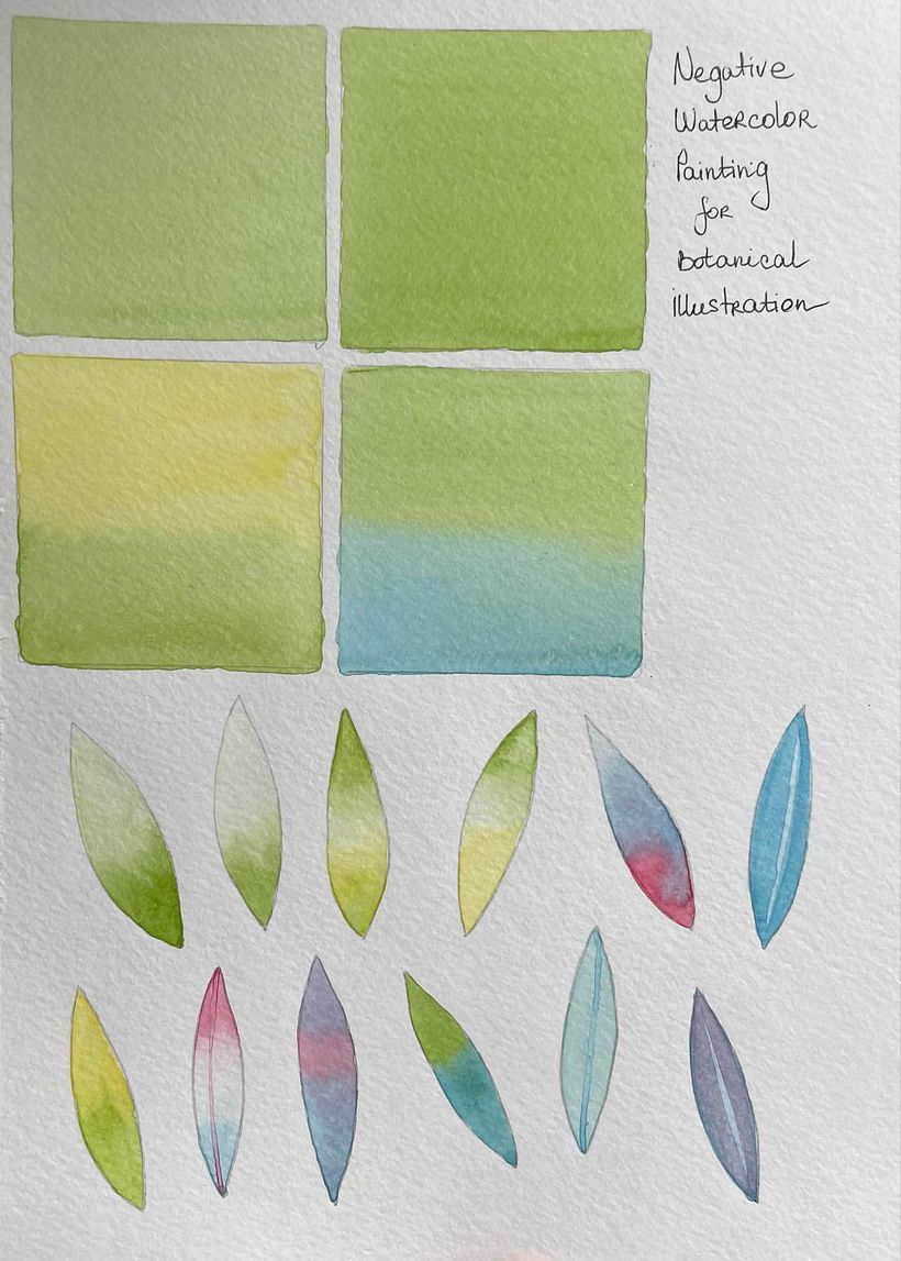 My project for course: Negative Watercolor Painting for Botanical Illustration 2