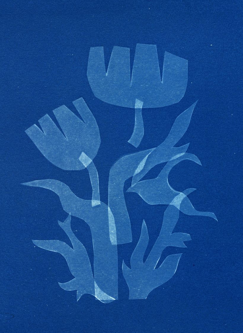 Experimenting with tracing paper