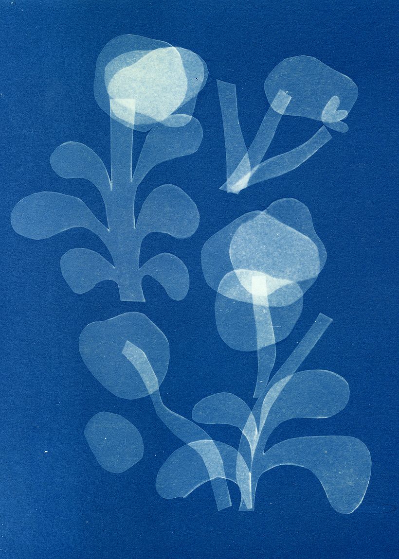 Experimenting with tracing paper