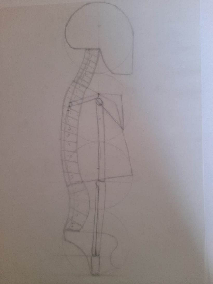 Mi proyecto del curso: Dibujo anatómico para principiantes 13