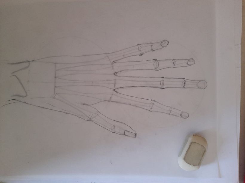Mi proyecto del curso: Dibujo anatómico para principiantes 14