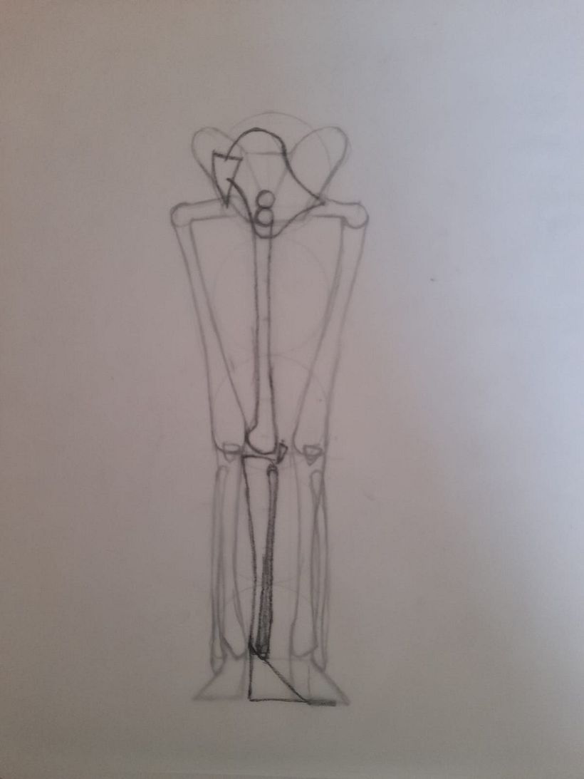Mi proyecto del curso: Dibujo anatómico para principiantes 15