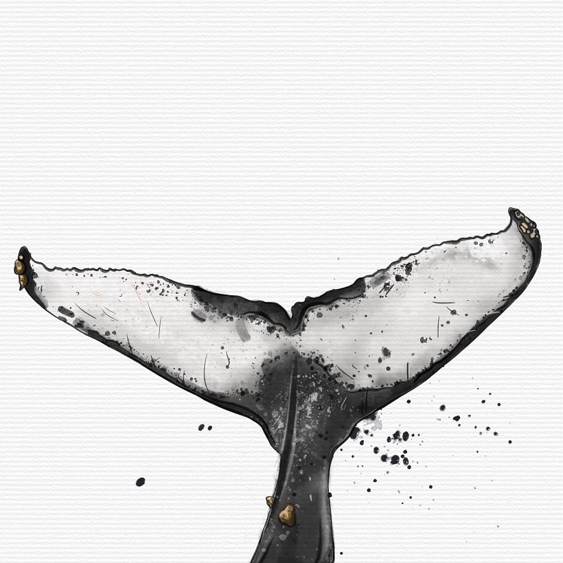 My project for course: Naturalist Illustration Techniques: Whales in Watercolor 3