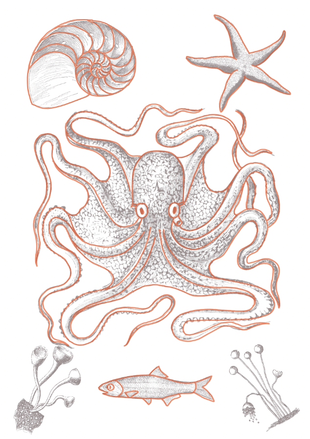 Mi proyecto del curso: Ilustración digital con texturas en Photoshop 1