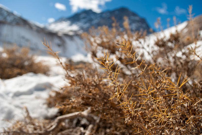 Mi proyecto del curso: Fotografía para principiantes: descubre tu cámara digital 2