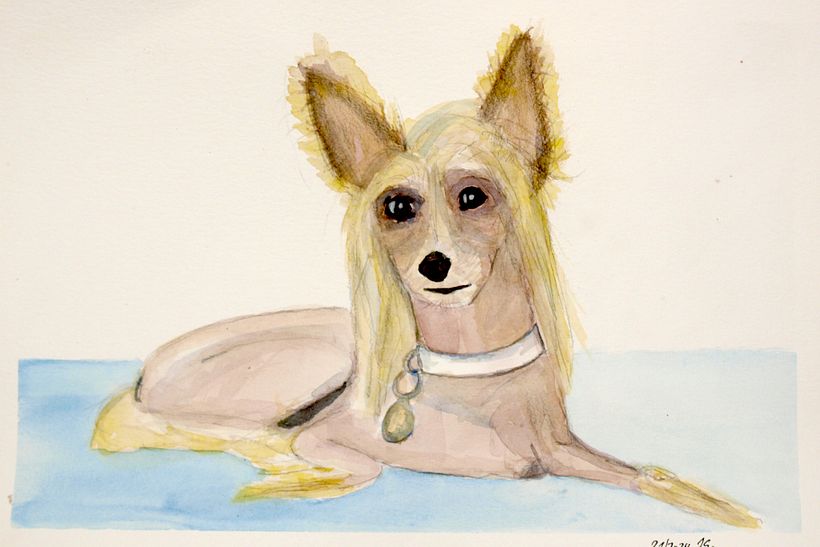 My project for course: Expressive Animal Portraits in Watercolor 4