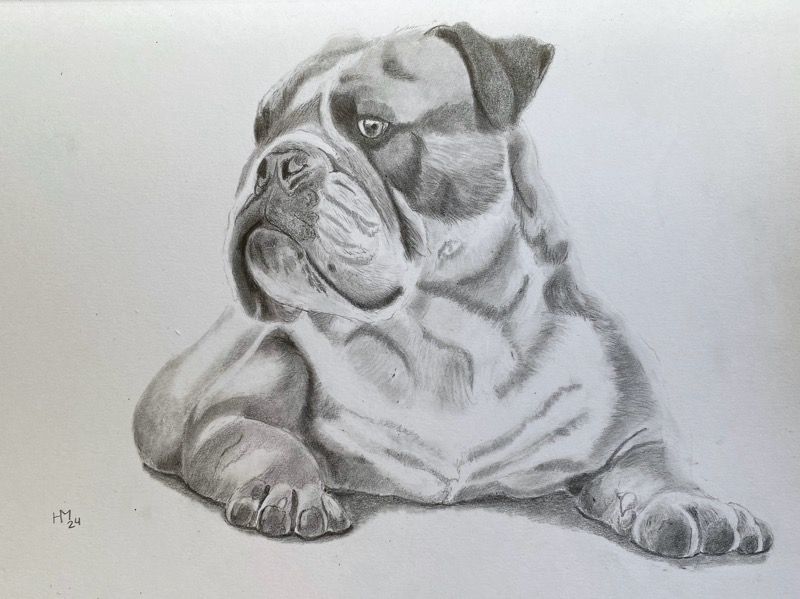 Another graphite drawing