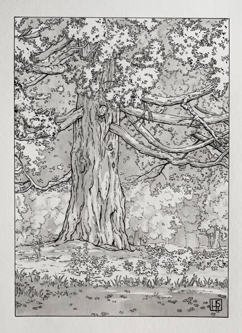 Tree on Cambie Street in Afternoon Light 5