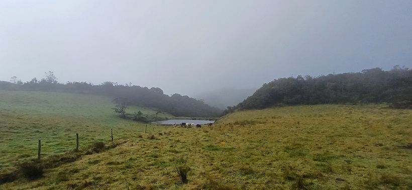 Mountain Trip 2