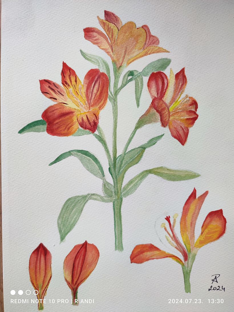 My project for course: Botanical Watercolor: Illustrate the Anatomy of Flowers 1