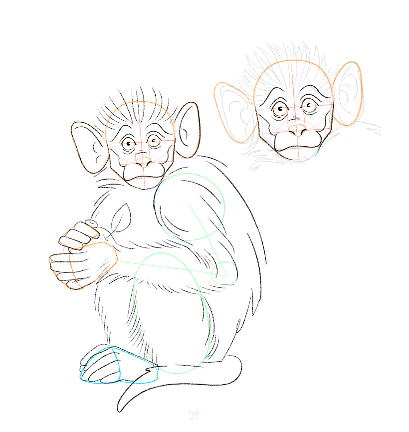 Step Three: Adding Details to the Body and Face