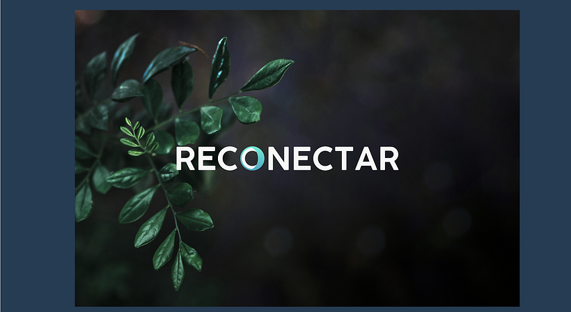 Mi proyecto del curso: Identidad Sitio Web Reconectar 1