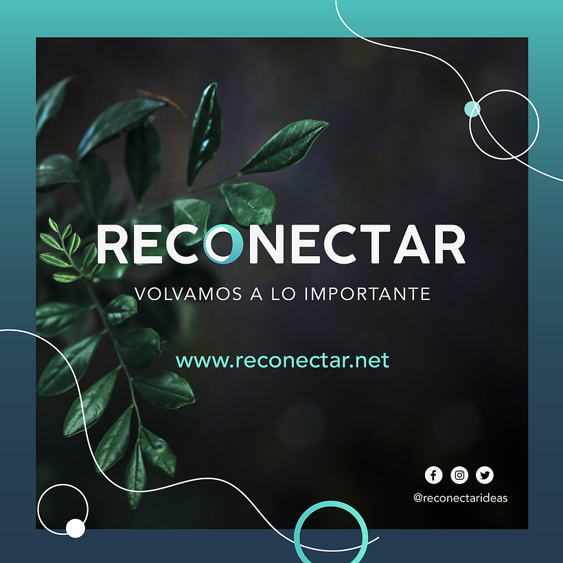 Mi proyecto del curso: Identidad Sitio Web Reconectar 5
