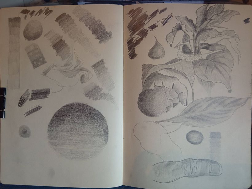 Mi proyecto del curso: Técnicas de dibujo para principiantes: trabaja la observación 3