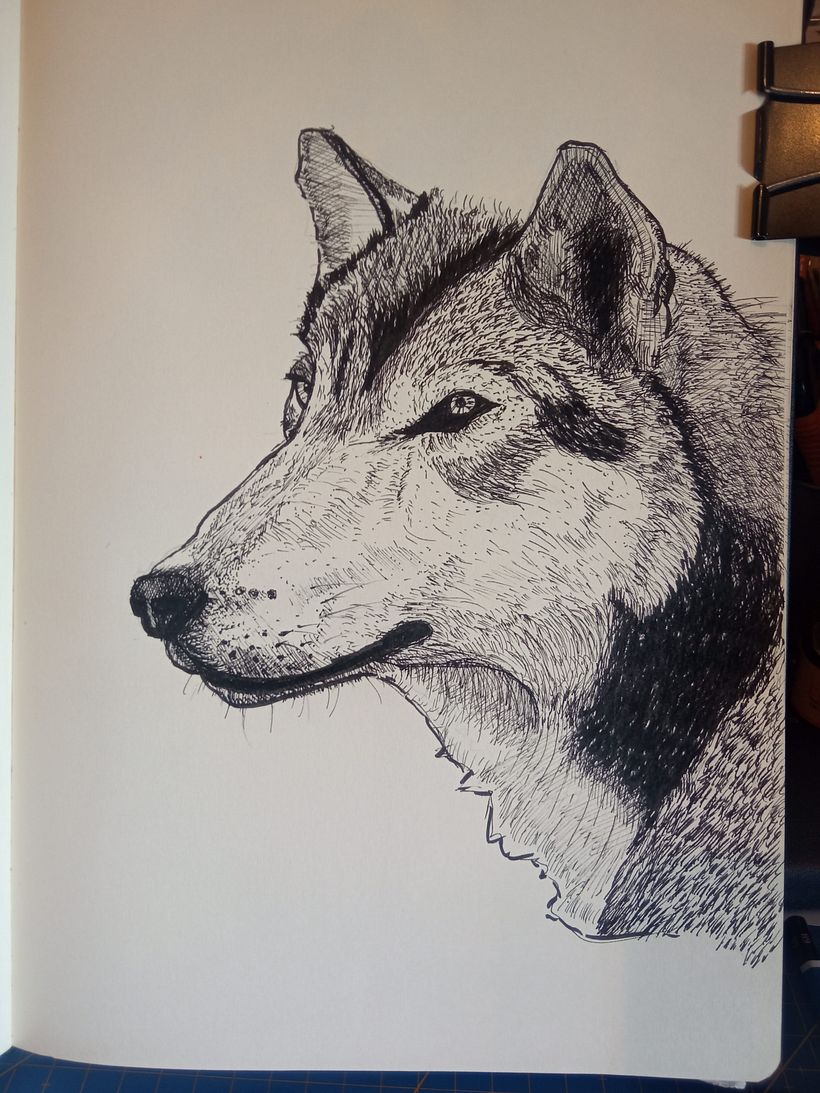 Mi proyecto del curso: Técnicas de dibujo para principiantes: trabaja la observación 4