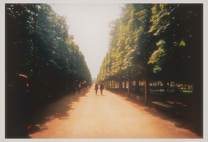 My project for course: Introduction to Analog Photography with Natural Light - Photography
