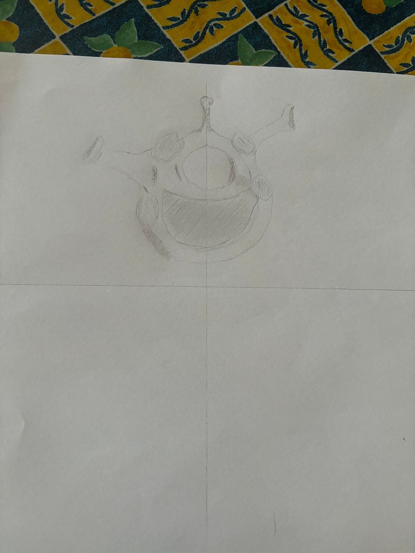 Projeto do curso: Desenho anatómico com lápis grafite para iniciantes 2