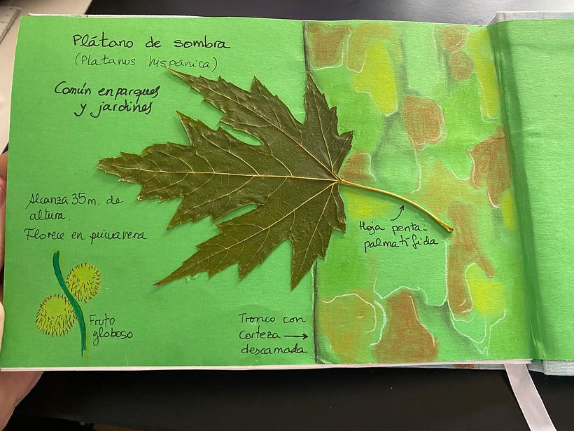 Mi proyecto del curso: Diseño y encuadernación de sketchbooks 1