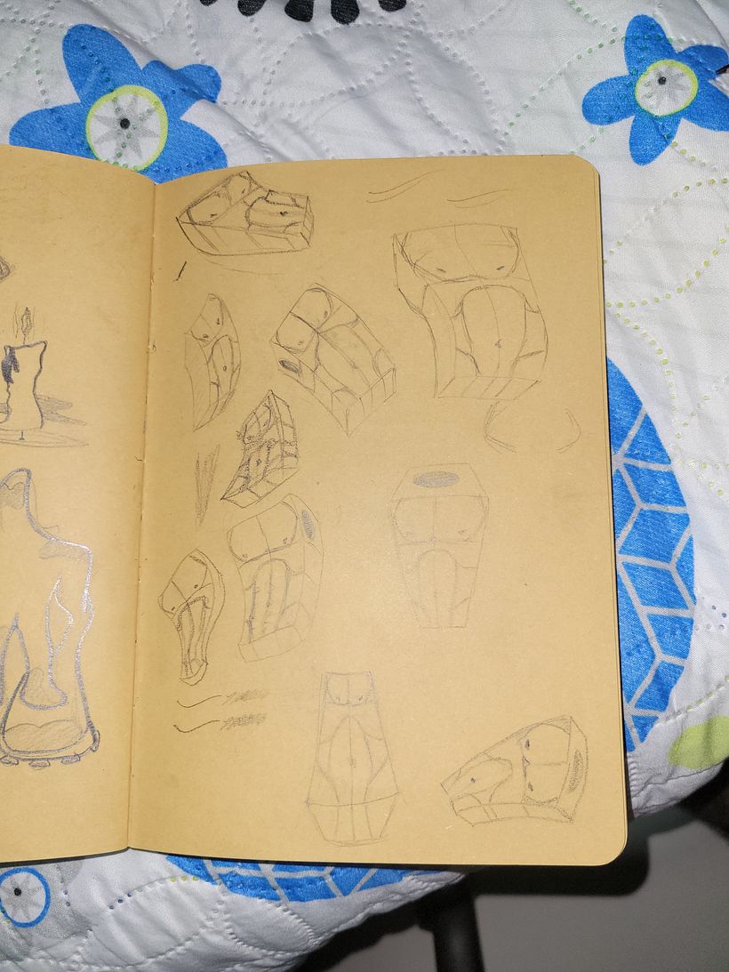 Mi proyecto del curso: Dibujo para principiantes nivel -1 3