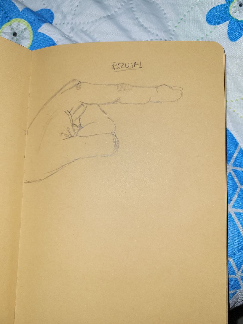 Mi proyecto del curso: Dibujo para principiantes nivel -1 8