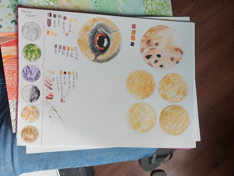 painted a dogs eye and then tested thickness of hair.
