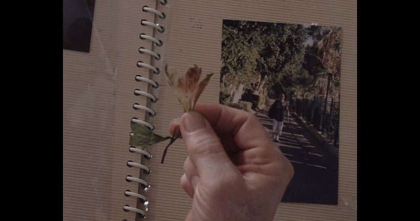 CÉLIMO (2023) Dir. Nicolás Jaramillo Díaz