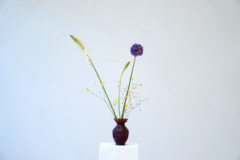 BLUMAMI Floral Studio 7