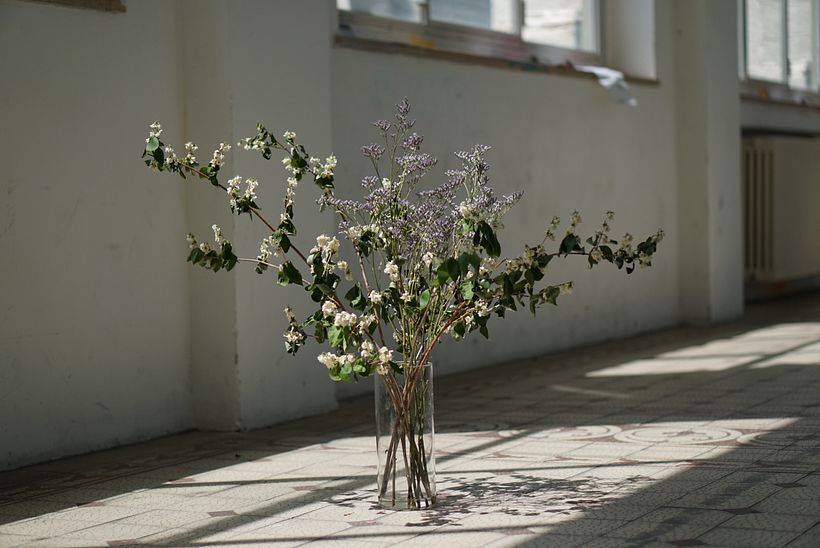 BLUMAMI Floral Studio 6