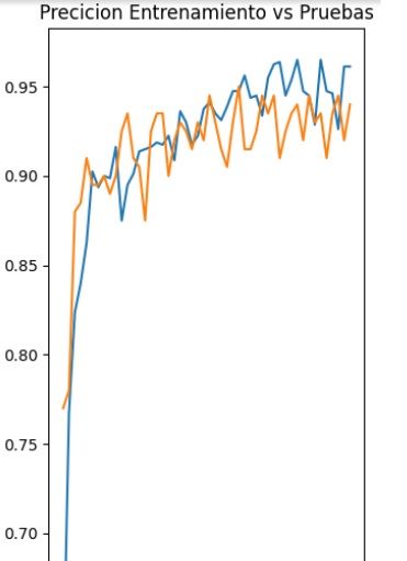 Precision Entrenamiento Vs Pruebas(Sin transferencia Aprendizaje)